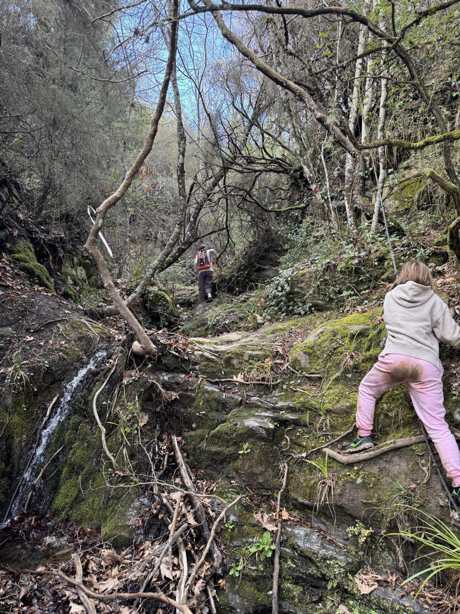 Foresta In Medias Mores ตรีโปลิส ภายนอก รูปภาพ