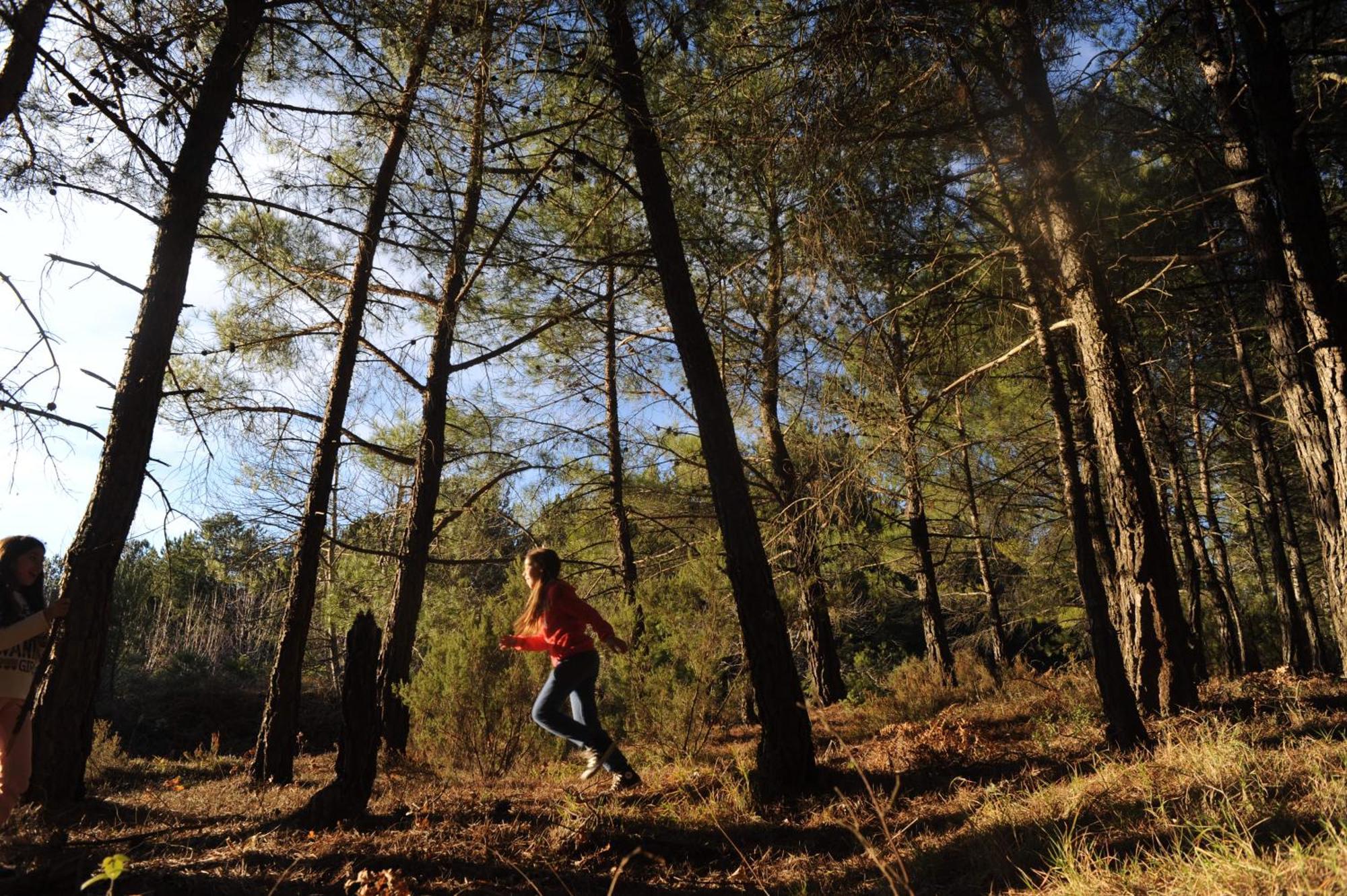 Foresta In Medias Mores ตรีโปลิส ภายนอก รูปภาพ