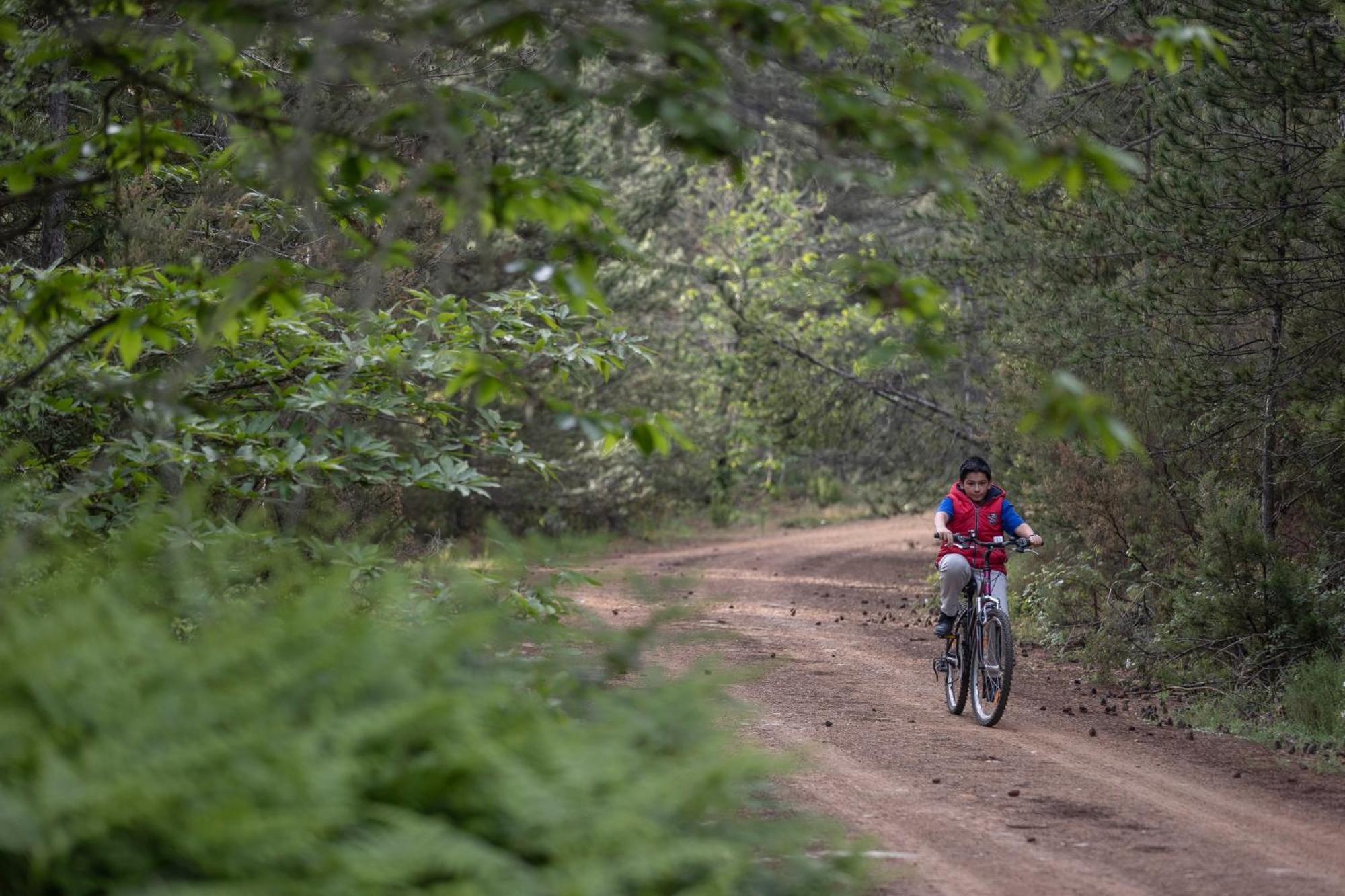 Foresta In Medias Mores ตรีโปลิส ภายนอก รูปภาพ